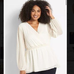 Lane Bryant Plus Size Top
